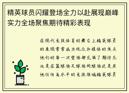 精英球员闪耀登场全力以赴展现巅峰实力全场聚焦期待精彩表现