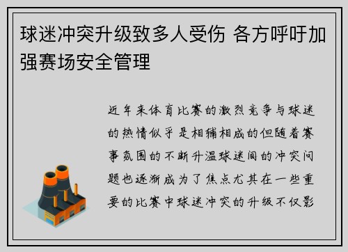 球迷冲突升级致多人受伤 各方呼吁加强赛场安全管理